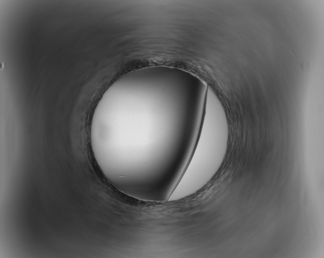X0000092301345200709140951