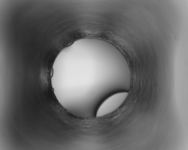 X0000092301346200709140951