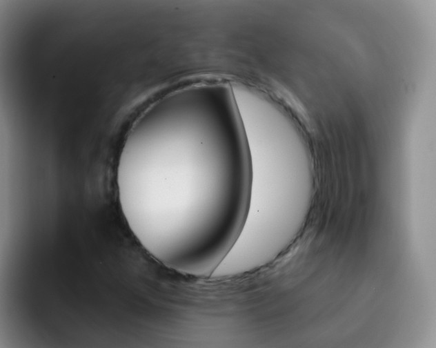 X0000092301352200709140951