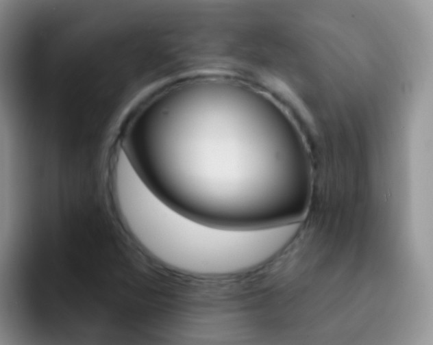X0000092301360200709140951