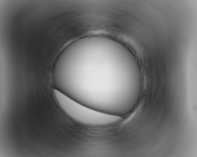 X0000092301361200709140951