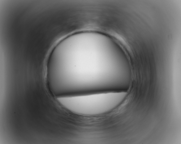 X0000092301366200709140951