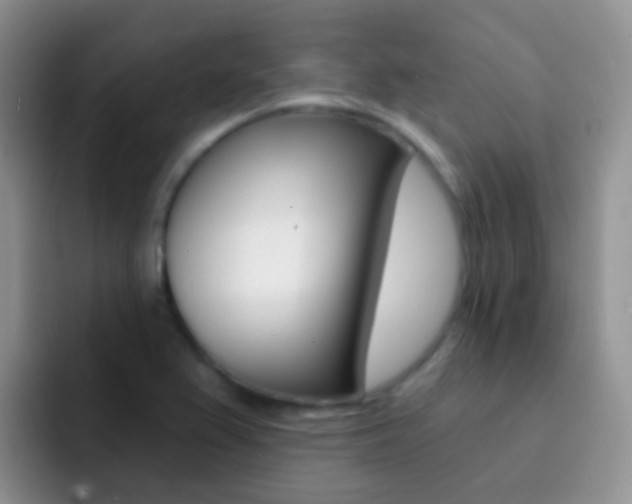 X0000092301367200709140951