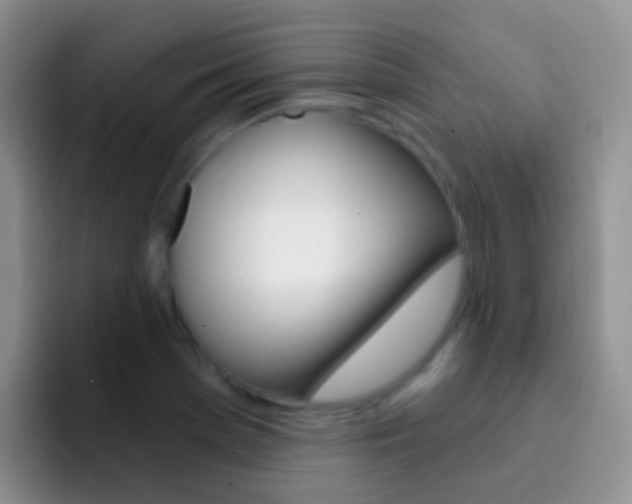X0000092301369200709140951