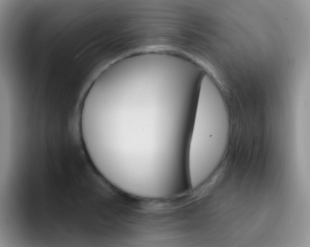 X0000092301374200709140951