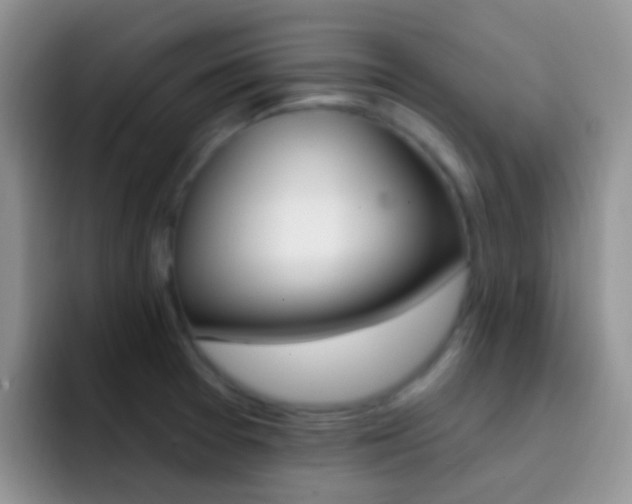 X0000092301377200709140951