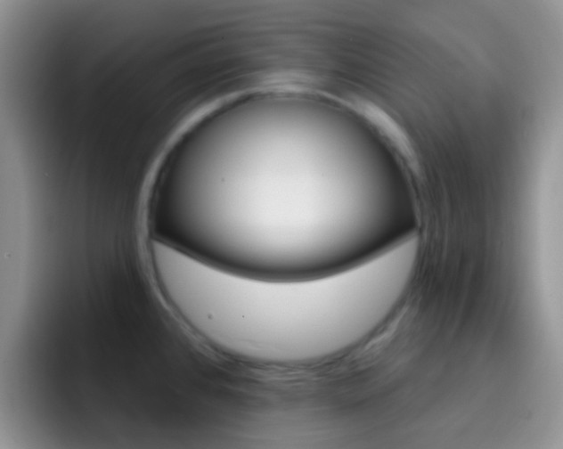 X0000092301384200709140951