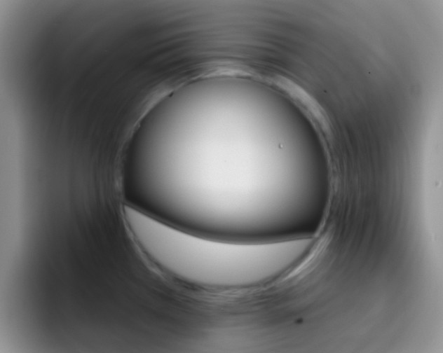 X0000092301385200709140951