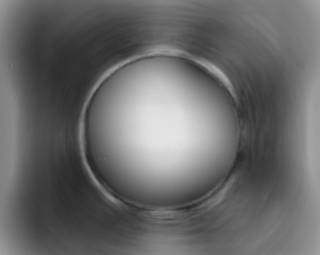 X0000092301391200709140951