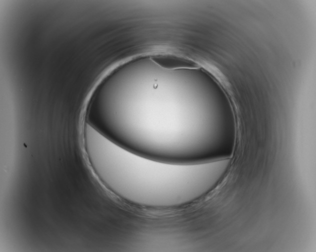 X0000092301392200709140951