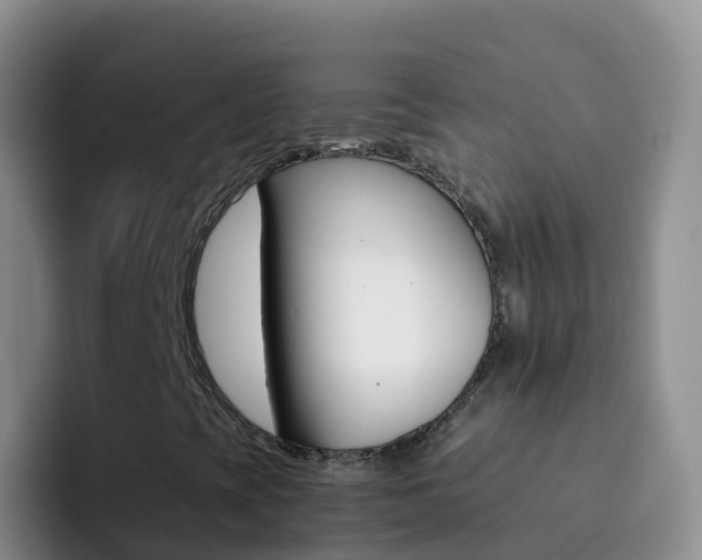 X0000092301393200709140950