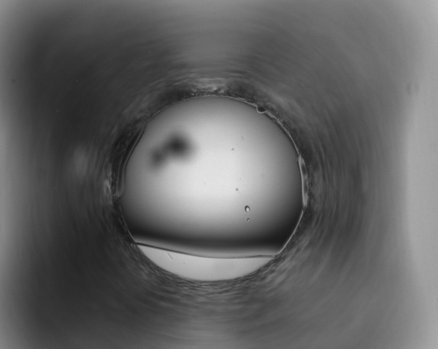X0000092301394200709140950