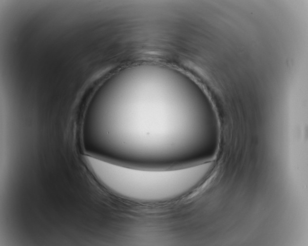 X0000092301402200709140950