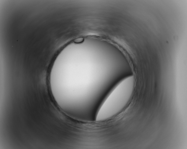 X0000092301404200709140950