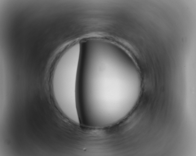 X0000092301406200709140950