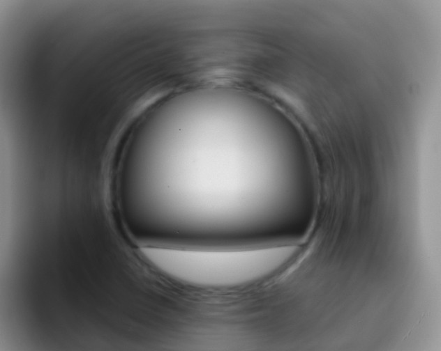 X0000092301410200709140950