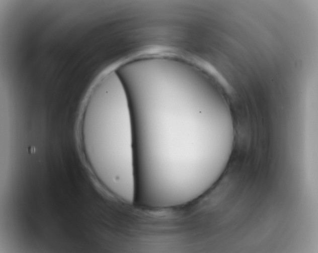 X0000092301421200709140950