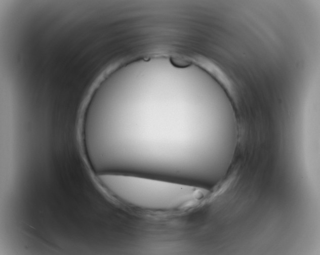 X0000092301429200709140950