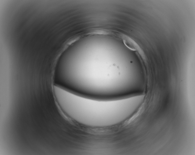 X0000092301433200709140950