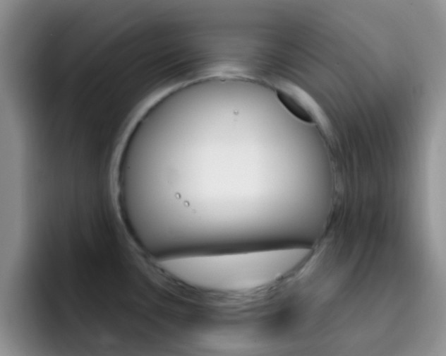 X0000092301435200709140950