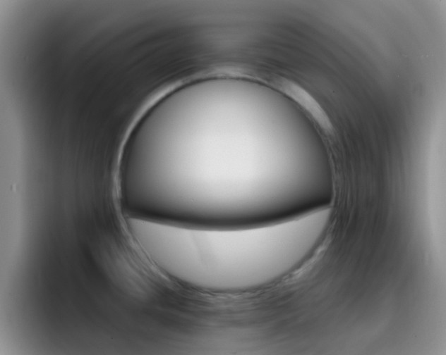 X0000092301436200709140950