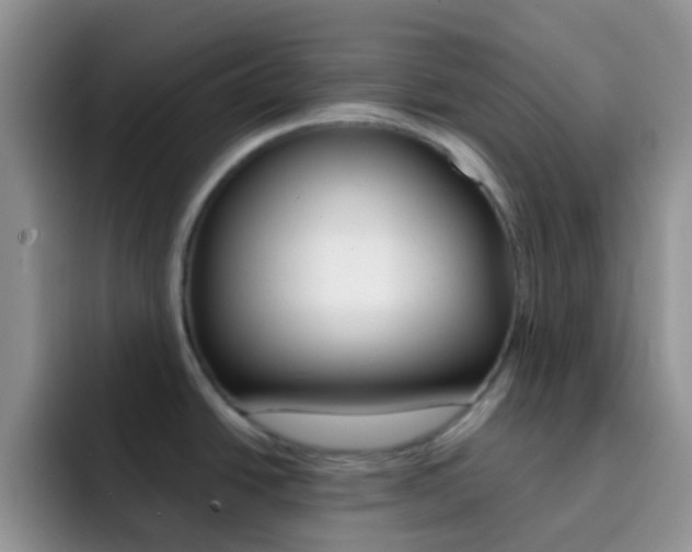 X0000092301438200709140950