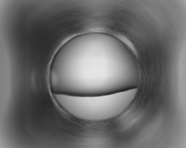 X0000092301439200709140951