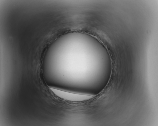 X0000092301445200709140950