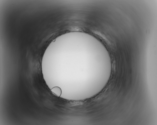 X0000092301446200709140950