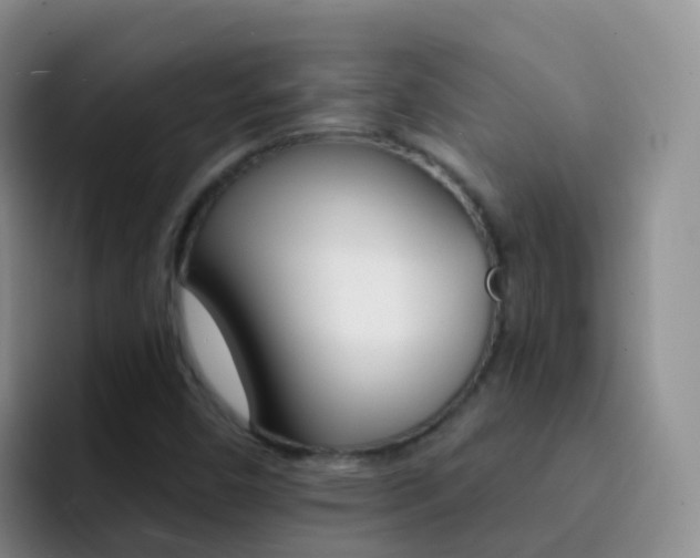X0000092301450200709140950
