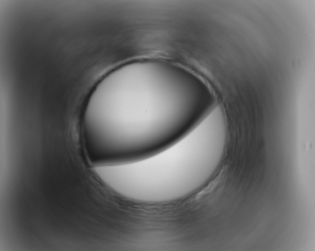 X0000092301455200709140950
