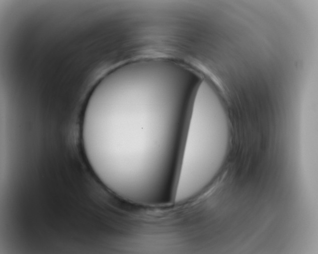 X0000092301459200709140950