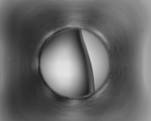 X0000092301461200709140950