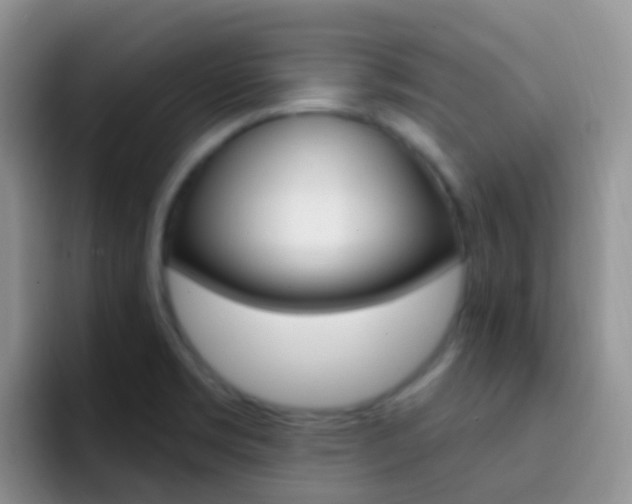 X0000092301469200709140950
