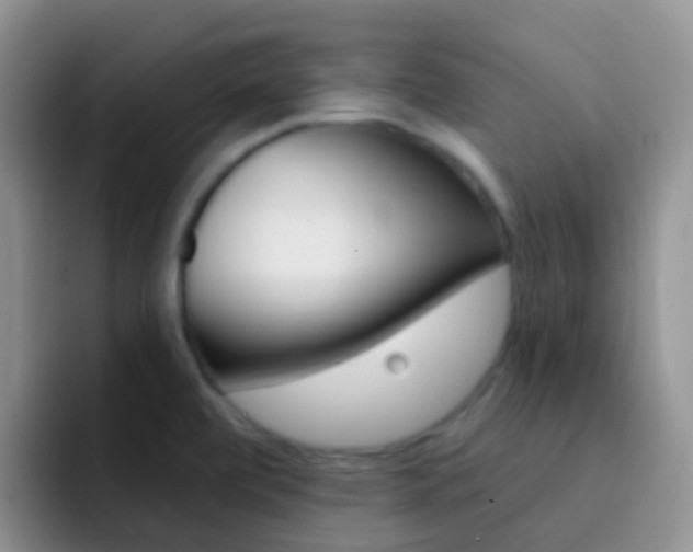 X0000092301472200709140950