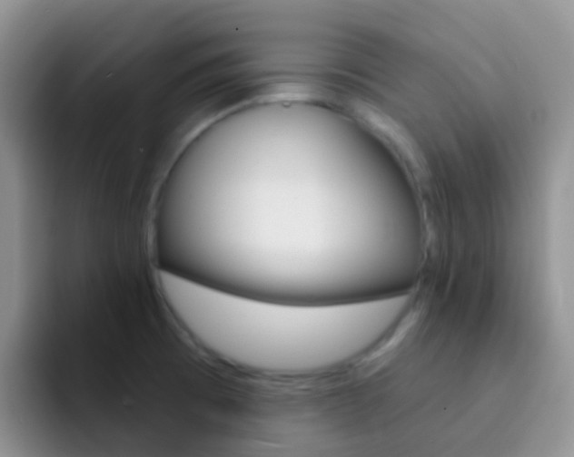 X0000092301473200709140950