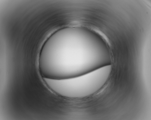 X0000092301477200709140950