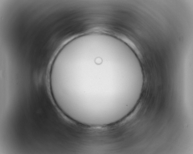 X0000092301478200709140950