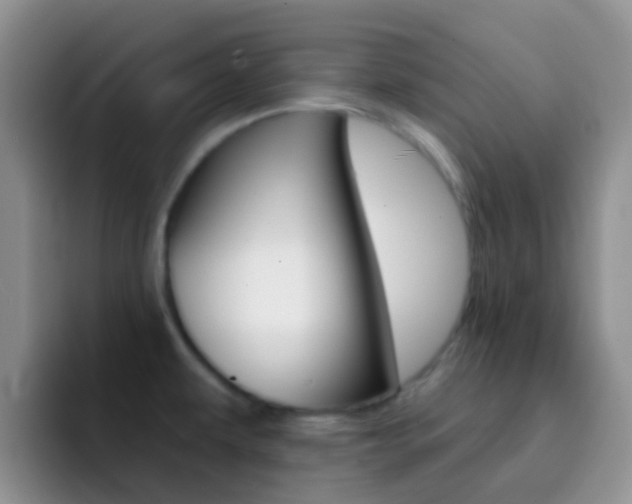 X0000092301479200709140950