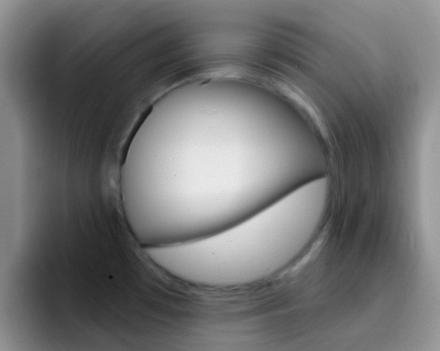 X0000092301481200709140949