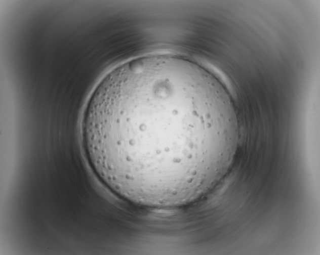 X0000092301483200709140949