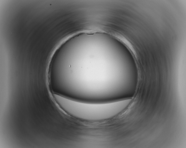 X0000092301485200709140949