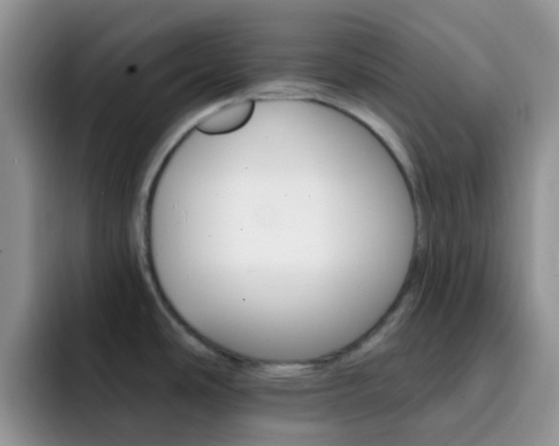 X0000092301486200709140949