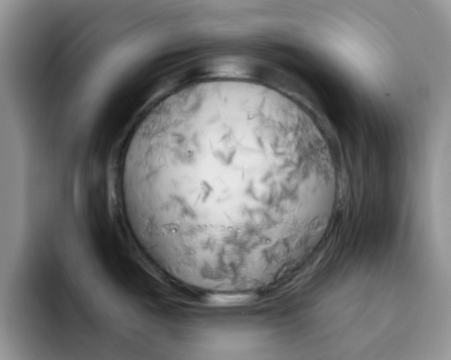 X0000092301487200709140949