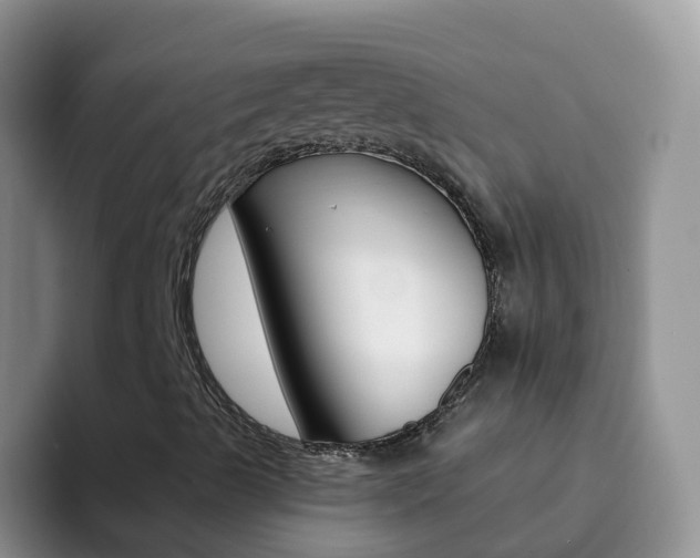 X0000092301489200709140949