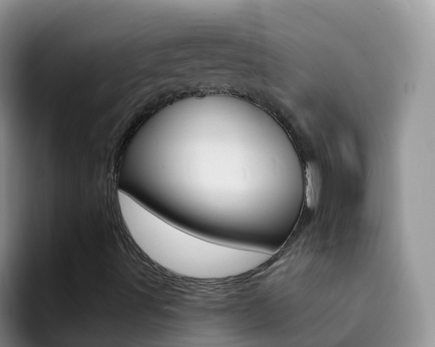 X0000092301491200709140949