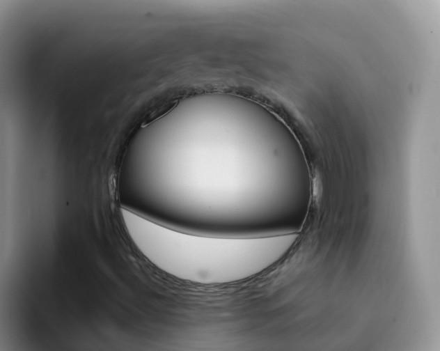 X0000092301492200709140949