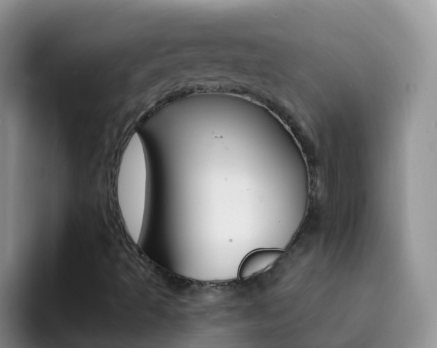 X0000092301493200709140949