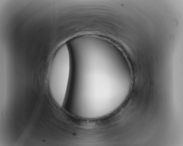 X0000092301505200709140949