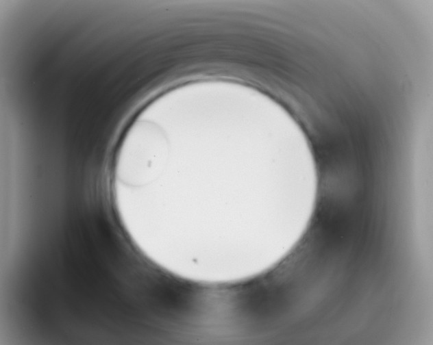 X0000092301514200709140949